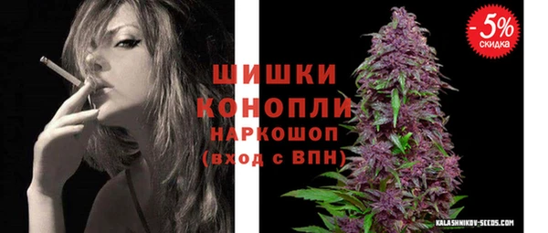 2c-b Мегион